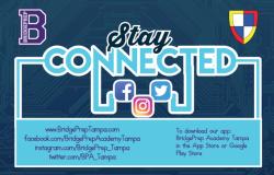 Stay Connected